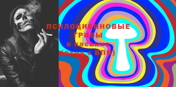 МДПВ Богородск